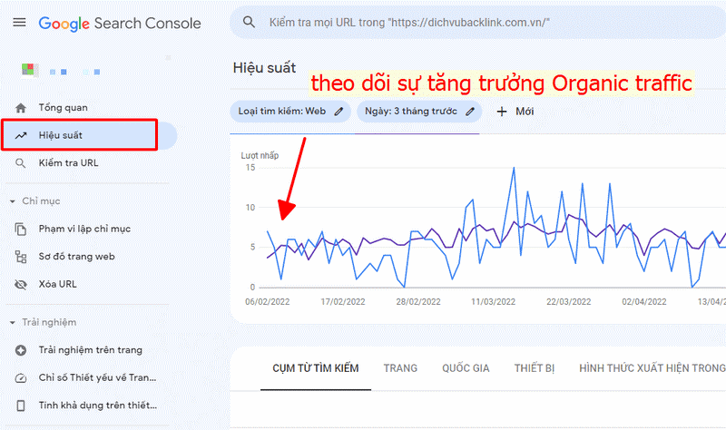 Cách đọc chỉ số Organic Traffic bằng Google Search Console
