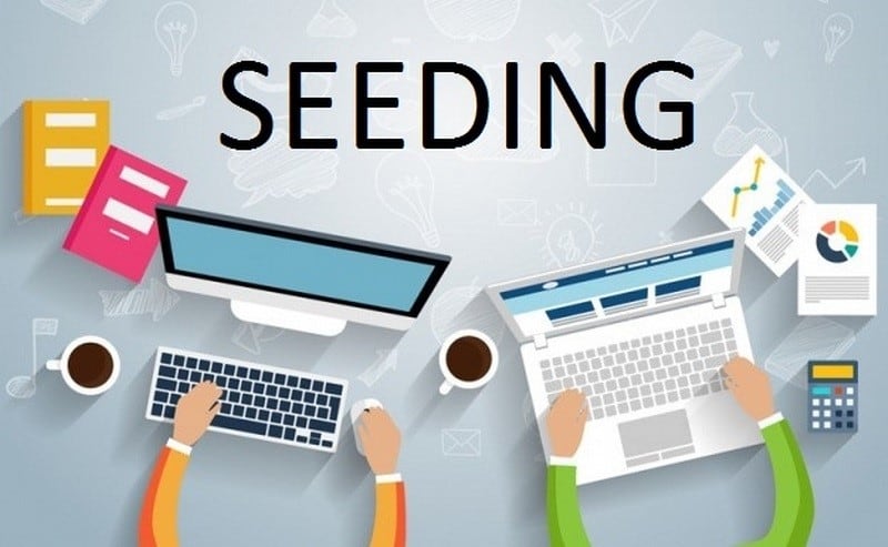 Các giai đoạn triển khai Seeding là gì?